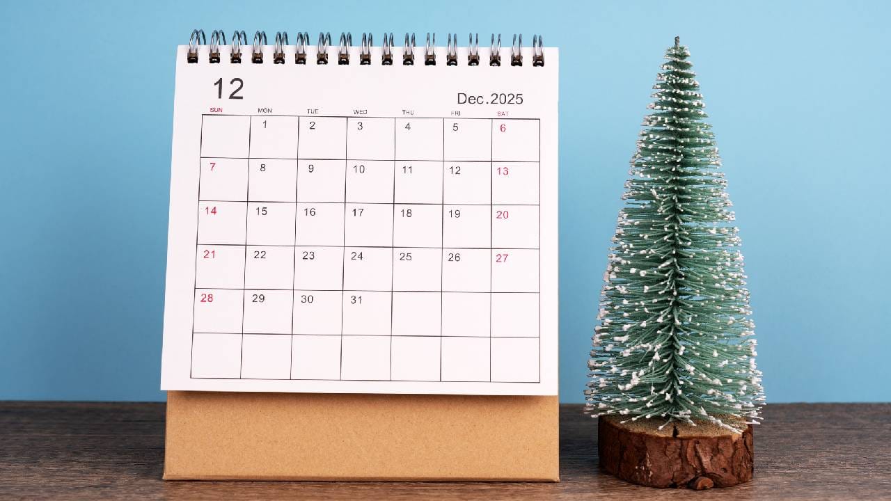 Important Days in December: ಡಿಸೆಂಬರ್ ತಿಂಗಳಲ್ಲಿ ಆಚರಿಸಲಾಗುವ ರಾಷ್ಟ್ರೀಯ, ಅಂತಾರಾಷ್ಟ್ರೀಯ ದಿನಗಳ ಪಟ್ಟಿ Important Days in December: ಡಿಸೆಂಬರ್ ತಿಂಗಳಲ್ಲಿ ಆಚರಿಸಲಾಗುವ ರಾಷ್ಟ್ರೀಯ, ಅಂತಾರಾಷ್ಟ್ರೀಯ ದಿನಗಳ ಪಟ್ಟಿ