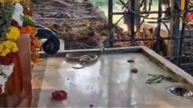 ಶಿವನ ದೇವಾಲಯದಲ್ಲಿ ನಾಗರಹಾವು ಪ್ರತ್ಯಕ್ಷ, ವೈರಲ್ ಆಯ್ತು ದೃಶ್ಯ