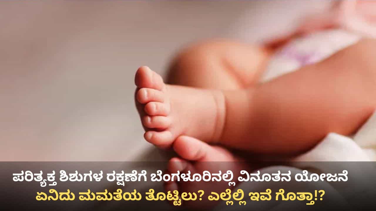 ಶಿಶುಗಳನ್ನು ಕಸದ ತೊಟ್ಟಿಯಲ್ಲಿ, ಚರಂಡಿಯಲ್ಲಿ ಎಸೆಯೋ ಬದಲು ‘ಮಮತೆಯ ತೊಟ್ಟಿಲಿ’ಗೆ ಹಾಕಿ! ಬೆಂಗಳೂರಿನಲ್ಲೊಂದು ವಿನೂತನ ಯೋಜನೆ ಶಿಶುಗಳನ್ನು ಕಸದ ತೊಟ್ಟಿಯಲ್ಲಿ, ಚರಂಡಿಯಲ್ಲಿ ಎಸೆಯೋ ಬದಲು ‘ಮಮತೆಯ ತೊಟ್ಟಿಲಿ’ಗೆ ಹಾಕಿ! ಬೆಂಗಳೂರಿನಲ್ಲೊಂದು ವಿನೂತನ ಯೋಜನೆ