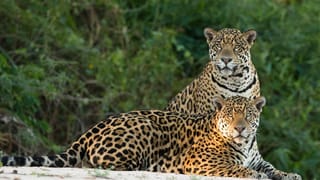 Winter Skin Care: ಚಂದ್ರನಂತೆ ಹೊಳೆಯುವ ಮುಖ ನಿಮ್ಮದಾಗಲು ಕುಡಿಯಿರಿ ಈ ಜ್ಯೂಸ್‌