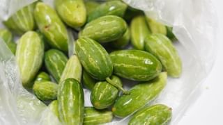 ಬೆಳಗಿನ ದಿನಚರಿಯಲ್ಲಿ ಈ ರೂಲ್ಸ್‌ಗಳನ್ನು ಪಾಲಿಸಿದ್ರೆ ನೀವು ಫಿಟ್‌ ಆ್ಯಂಡ್ ಹೆಲ್ತಿಯಾಗಿರಬಹುದು