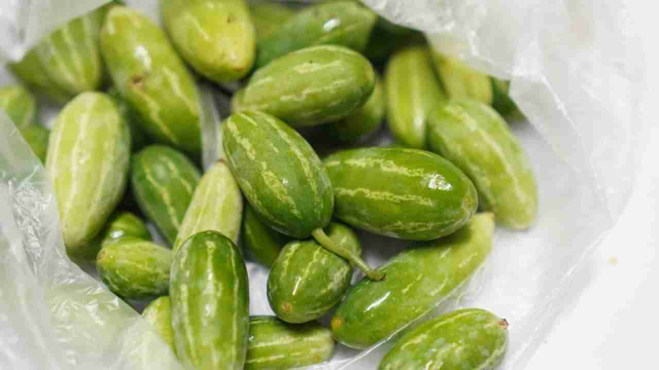 ಎಷ್ಟೇ ಮದ್ದು ಮಾಡಿದ್ರೂ ಮಲಬದ್ಧತೆ ಸಮಸ್ಯೆಗೆ ಪರಿಹಾರ ಸಿಗದಿದ್ದರೆ ಈ ಒಂದು ಹೆಲ್ದಿ ಟ್ರಿಕ್ ಪಾಲಿಸಿ