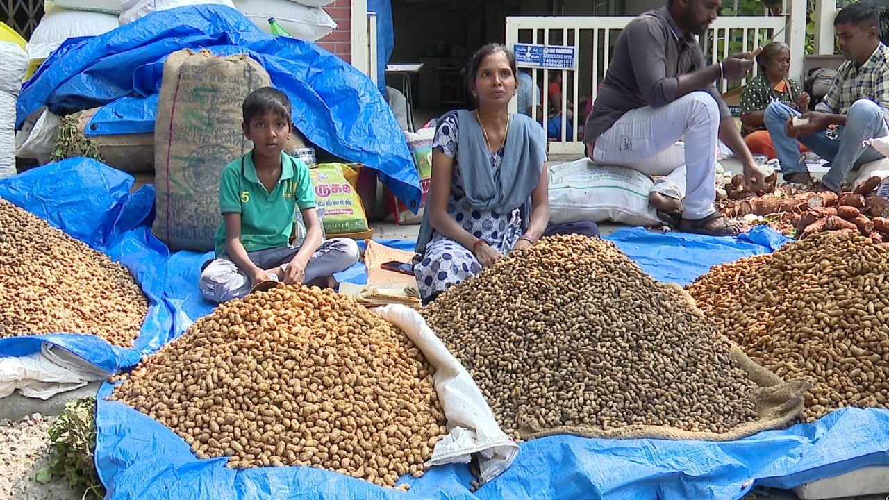 ಪರಿಷೆಗೆ ಈಗಾಗಲೇ ಬಸವನಗುಡಿಯ ಬೀದಿಗಳು ಮಧುವಣಗಿತ್ತಿಯಂತೆ ಸಿಂಗಾರಗೊಂಡಿದ್ದು, ರಸ್ತೆಯ ಎರಡು ಬದಿಗಳಲ್ಲಿ ಬಡವರ ಬಾದಾಮಿ ಕಡಲೆಕಾಯಿಯ ರಾಶಿ ಹಾಜರ್ ಆಗಿದೆ. ಪ್ರತಿ ವರ್ಷ ಎರಡು ದಿನಕ್ಕೆ ಮುಗಿಯುತ್ತಿದ್ದ ಕಡಲೆಕಾಯಿ ಪರಿಷೆಯನ್ನು ಇದೇ ಮೊದಲ ಬಾರಿಗೆ ಐದು ದಿನಗಳ ಕಾಲ ನಡೆಸಲು ಮುಂದಾಗಿದ್ದು, ಈಗಾಗಲೇ ಬೇರೆ ಬೇರೆ ಭಾಗಗಳಿಂದ ಆಗಮಿಸಿರುವ ವ್ಯಾಪಾರಿಗಳು ತಮ್ಮ ತಮ್ಮ ಜಾಗ ಗುರುತಿಸಿ ಕಡಲೆಕಾಯಿ ರಾಶಿ ಹಾಕಿದ್ದಾರೆ.
