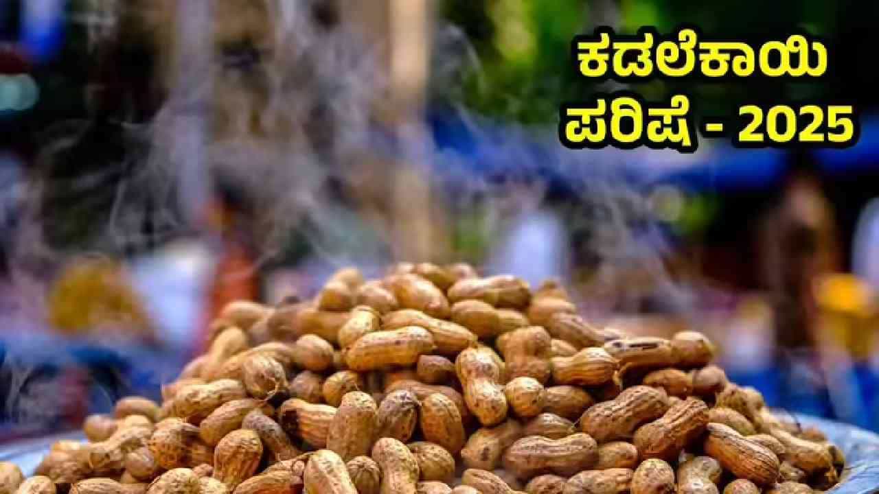 ಬೆಂಗಳೂರಿನಲ್ಲಿ ಇದೇ ತಿಂಗಳಲ್ಲಿ ಎರಡೆರಡು ಕಡಲೆಕಾಯಿ ಪರಿಷೆ: ಎಲ್ಲೆಲ್ಲಿ? ಯಾವಾಗ? ಏನು ವಿಶೇಷ? ಬೆಂಗಳೂರಿನಲ್ಲಿ ಇದೇ ತಿಂಗಳಲ್ಲಿ ಎರಡೆರಡು ಕಡಲೆಕಾಯಿ ಪರಿಷೆ: ಎಲ್ಲೆಲ್ಲಿ? ಯಾವಾಗ? ಏನು ವಿಶೇಷ?