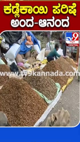 ಐತಿಹಾಸಿಕ ಕಡಲೆಕಾಯಿ ಪರಿಷೆಗೆ ಕ್ಷಣಗಣನೆ