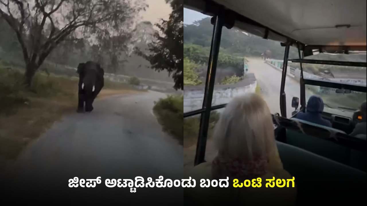 ದಾಳಿಗೆ ಮುಂದಾದ ಕಾಡಾನೆ: ಪ್ರವಾಸಿಗರು ಜಸ್ಟ್ ಮಿಸ್!