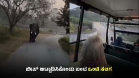 ದಾಳಿಗೆ ಮುಂದಾದ ಕಾಡಾನೆ: ಪ್ರವಾಸಿಗರು ಜಸ್ಟ್ ಮಿಸ್!