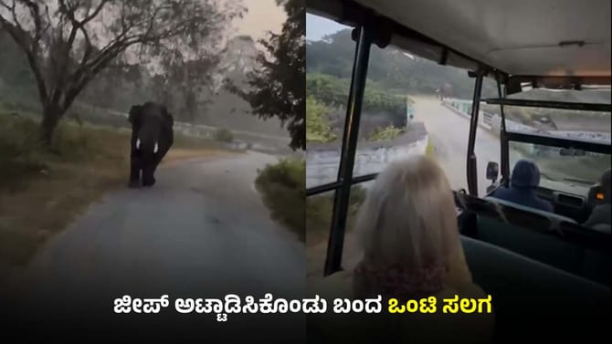 ದಾಳಿಗೆ ಮುಂದಾದ ಕಾಡಾನೆ: ಪ್ರವಾಸಿಗರು ಜಸ್ಟ್ ಮಿಸ್!