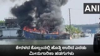 Tejas Crash: ದುಬೈನಲ್ಲಿ ಪತನಗೊಂಡ ತೇಜಸ್ ವಿಮಾನದ ಪೈಲಟ್ ವಿಂಗ್ ಕಮಾಂಡರ್ ನಮಾಂಶ್ ಸ್ಯಾಲ್ ಯಾರು?