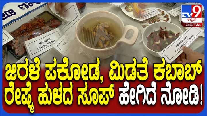 ಕೃಷಿ ಮೇಳದಲ್ಲಿ ಗಮನಸೆಳೆದ ಜಿರಳೆ ಪಕೋಡ, ರೇಷ್ಮೆ ಹುಳು ಸೂಪ್, ಮಿಡತೆಯ ಮಂಚೂರಿಯನ್ ಕೃಷಿ ಮೇಳದಲ್ಲಿ ಗಮನಸೆಳೆದ ಜಿರಳೆ ಪಕೋಡ, ರೇಷ್ಮೆ ಹುಳು ಸೂಪ್, ಮಿಡತೆಯ ಮಂಚೂರಿಯನ್