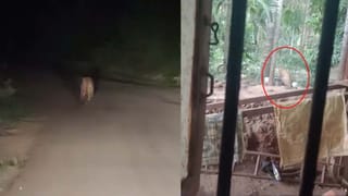 ಚಿಕ್ಕಮಗಳೂರು: ಮಕ್ಕಳ ಮೇಲೆ ‌ದಾಳಿ ಮಾಡಿದ್ದ ಚಿರತೆ ಅರಣ್ಯ ಸಿಬ್ಬಂದಿ ಗುಂಡೇಟಿಗೆ ಬಲಿ 