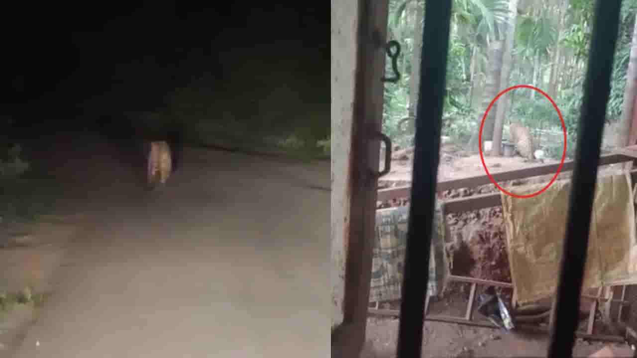 ಚಿಕ್ಕಮಗಳೂರು: ಮಕ್ಕಳ ಮೇಲೆ ದಾಳಿ ಮಾಡಿದ್ದ ಚಿರತೆ ಅರಣ್ಯ ಸಿಬ್ಬಂದಿ ಗುಂಡೇಟಿಗೆ ಬಲಿ