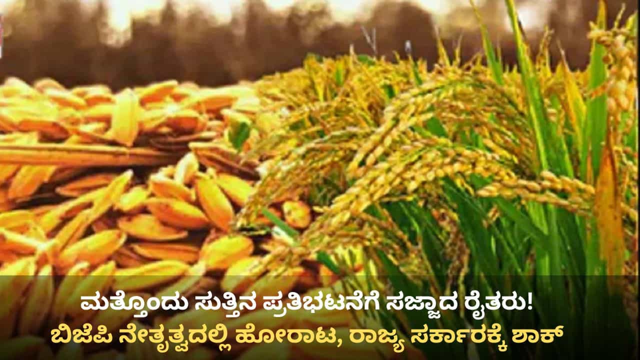 ಕಬ್ಬಿನ ಕಿಚ್ಚಿನ ಬಳಿಕ ರಾಜ್ಯ ಸರ್ಕಾರಕ್ಕೆ ಮತ್ತೊಂದು ಶಾಕ್: ಮೆಕ್ಕೆಜೋಳ, ಭತ್ತಕ್ಕೆ ಬೆಂಬಲ ಬೆಲೆಗೆ ಆಗ್ರಹಿಸಿ ಹೋರಾಟಕ್ಕೆ ಸಜ್ಜು ಕಬ್ಬಿನ ಕಿಚ್ಚಿನ ಬಳಿಕ ರಾಜ್ಯ ಸರ್ಕಾರಕ್ಕೆ ಮತ್ತೊಂದು ಶಾಕ್: ಮೆಕ್ಕೆಜೋಳ, ಭತ್ತಕ್ಕೆ ಬೆಂಬಲ ಬೆಲೆಗೆ ಆಗ್ರಹಿಸಿ ಹೋರಾಟಕ್ಕೆ ಸಜ್ಜು
