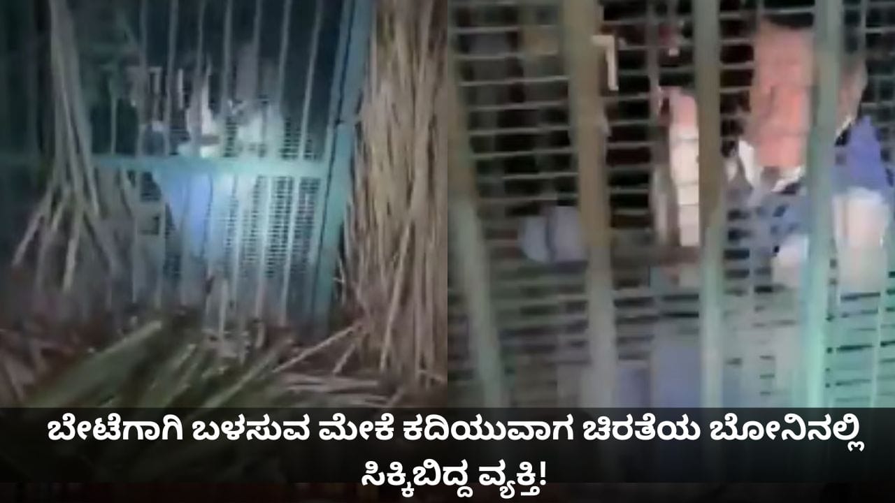 ಬೇಟೆಗಾಗಿ ಬಳಸುವ ಮೇಕೆ ಕದಿಯುವಾಗ ಚಿರತೆಯ ಬೋನಿನಲ್ಲಿ ಸಿಕ್ಕಿಬಿದ್ದ ವ್ಯಕ್ತಿ!