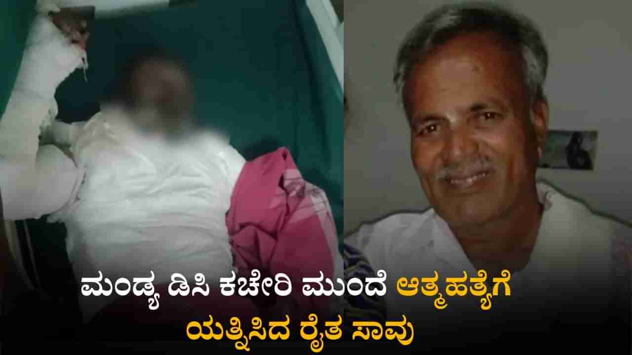 ಮಂಡ್ಯ ಡಿಸಿ ಕಚೇರಿ ಮುಂದೆ ಆತ್ಮಹತ್ಯೆಗೆ ಯತ್ನಿಸಿದ್ದ ರೈತ ಚಿಕಿತ್ಸೆ ಫಲಿಸದೆ ಸಾವು