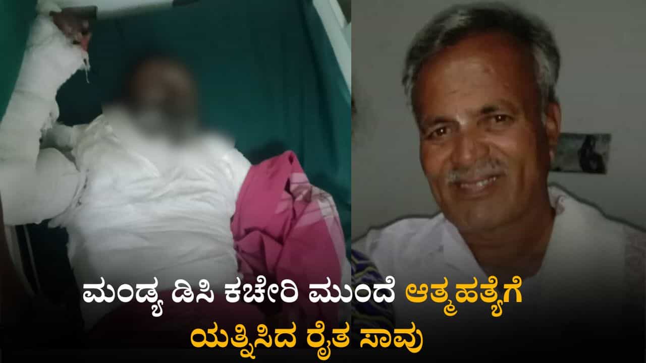 ಮಂಡ್ಯ ಡಿಸಿ ಕಚೇರಿ ಮುಂದೆ ಆತ್ಮಹತ್ಯೆಗೆ ಯತ್ನಿಸಿದ್ದ ರೈತ ಚಿಕಿತ್ಸೆ ಫಲಿಸದೆ ಸಾವು