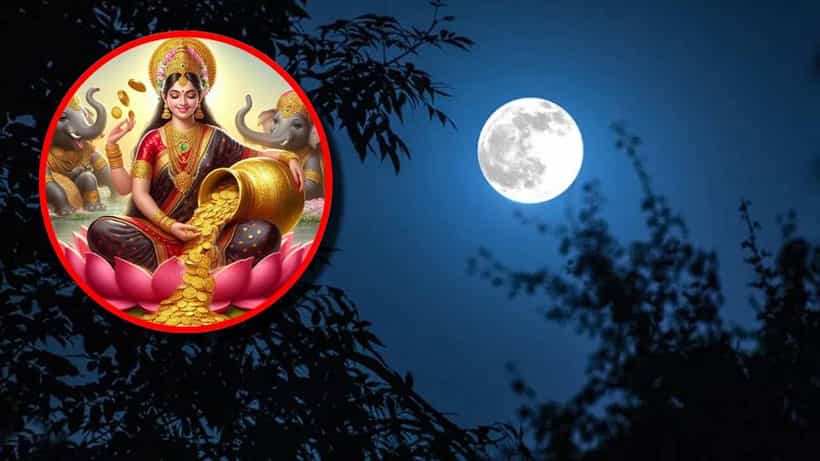 Margashira Amavasya: ಜೀವನದ ಕಷ್ಟ ದೂರಾಗಿ ಆರ್ಥಿಕ ಸಮೃದ್ಧಿ ಪಡೆಯಲು ಮಾರ್ಗಶಿರ ಅಮಾವಾಸ್ಯೆಯಂದು ಈ ಕೆಲಸ ಮಾಡಿ!