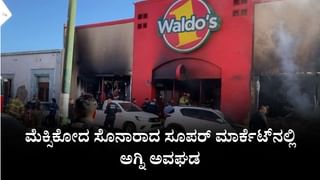 Video: ವೇಗವಾಗಿ ಬಂದು ಮೆಟ್ರೋ ಪಿಲ್ಲರ್​ಗೆ ಡಿಕ್ಕಿ ಹೊಡೆದ ಕಾರು, ಇಬ್ಬರು ಸಾವು