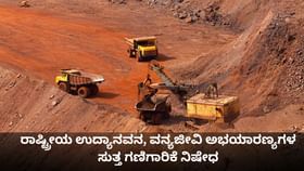 ರಾಷ್ಟ್ರೀಯ ಉದ್ಯಾನವನ, ವನ್ಯಜೀವಿ ಅಭಯಾರಣ್ಯಗಳ ಸುತ್ತ ಗಣಿಗಾರಿಕೆ ನಿಷೇಧ