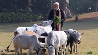 Nitish Kumar Resigns: ಬಿಹಾರ ಮುಖ್ಯಮಂತ್ರಿ ನಿತೀಶ್ ಕುಮಾರ್ ರಾಜೀನಾಮೆ