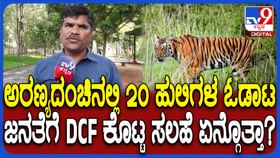 ಮೈಸೂರು ಕಾಡಂಚಿನಲ್ಲಿ 20 ಹುಲಿಗಳ ಓಡಾಟ: ಸಾರ್ವಜನಿಕರಿಗೆ ಸಲಹೆ ಸೂಚನೆ ಏನು?
