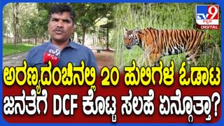 Video: ಮಹಾರಾಷ್ಟ್ರದಲ್ಲಿ ಧಗಧಗನೆ ಹೊತ್ತಿ ಉರಿದ ಕೆಮಿಕಲ್​​​ ಕಾರ್ಖಾನೆ, 12 ಜನರ ರಕ್ಷಣೆ