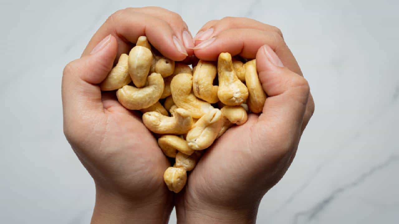 National Cashew Day 2025: ಗೋಡಂಬಿ ದಿನದ ಆಚರಣೆಯ ಹಿಂದಿನ ಇಂಟರೆಸ್ಟಿಂಗ್ ಕಥೆಯ ಬಗ್ಗೆ ತಿಳಿಯಿರಿ National Cashew Day 2025: ಗೋಡಂಬಿ ದಿನದ ಆಚರಣೆಯ ಹಿಂದಿನ ಇಂಟರೆಸ್ಟಿಂಗ್ ಕಥೆಯ ಬಗ್ಗೆ ತಿಳಿಯಿರಿ