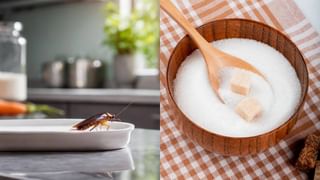 ಟಾಯ್ಲೆಟ್‌ ಸೀಟ್‌ಗಿಂತಲೂ ಹೆಚ್ಚು ಕೊಳಕಾಗಿರುವ ವಸ್ತುಗಳಿವು, ಇವುಗಳ ಸ್ವಚ್ಛತೆಯ ಬಗ್ಗೆ ಇರಲಿ ಗಮನ