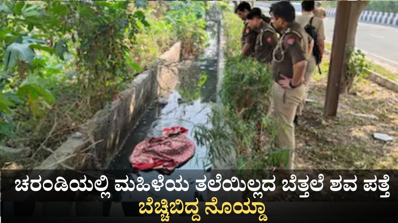 ಚರಂಡಿಯಲ್ಲಿ ಮಹಿಳೆಯ ತಲೆಯಿಲ್ಲದ ಬೆತ್ತಲೆ ಶವ ಪತ್ತೆ; ಬೆಚ್ಚಿಬಿದ್ದ ನೊಯ್ಡಾ