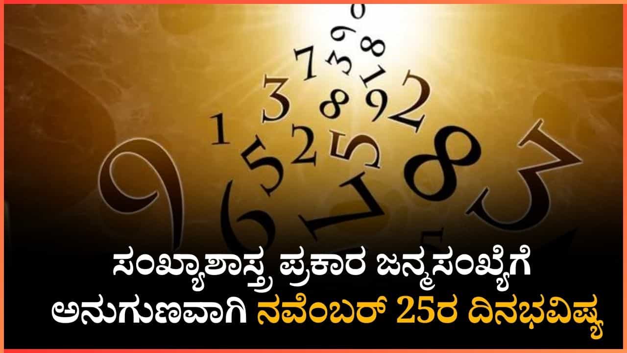 Numerology Prediction: ಸಂಖ್ಯಾಶಾಸ್ತ್ರ ಪ್ರಕಾರ ಜನ್ಮಸಂಖ್ಯೆಗೆ ಅನುಗುಣವಾಗಿ ನವೆಂಬರ್ 25ರ ದಿನಭವಿಷ್ಯ