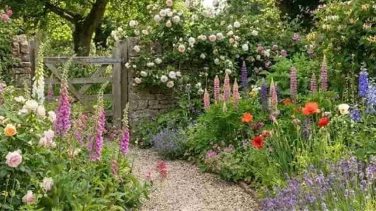 Optical Illusion: ಈ ಉದ್ಯಾನವನದಲ್ಲಿ ಅಡಗಿರುವ ಹೆಬ್ಬಾವನ್ನು ಗುರುತಿಸಬಲ್ಲಿರಾ