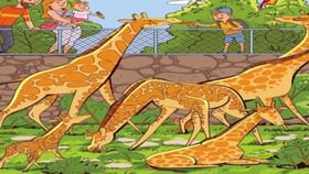 ಈ ಚಿತ್ರದಲ್ಲಿರುವ ಪೇರಳೆ ಹಣ್ಣನ್ನು ಗುರುತಿಸಲು ನಿಮ್ಮಿಂದ ಸಾಧ್ಯನಾ