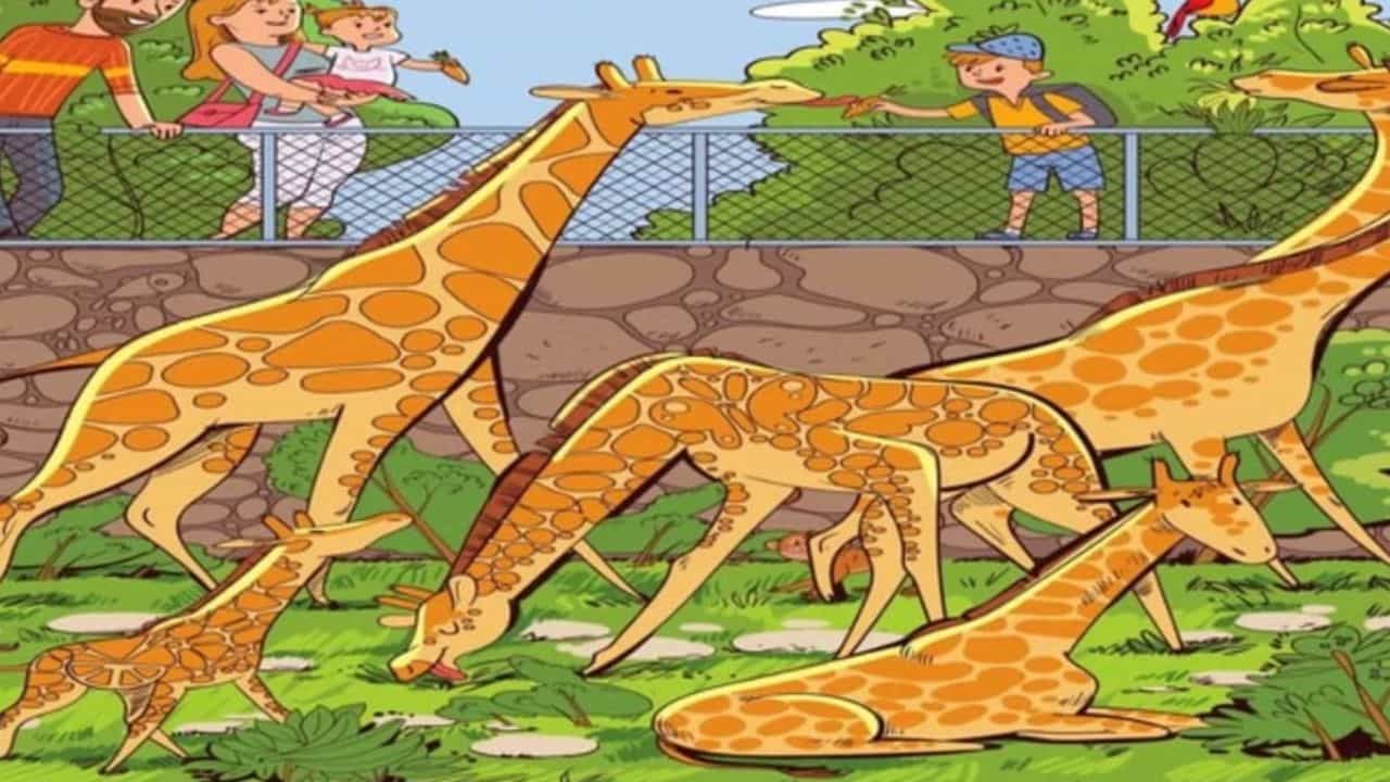Optical illusion: ಜಸ್ಟ್ 15 ಸೆಕೆಂಡುಗಳಲ್ಲಿ ಈ ಚಿತ್ರದಲ್ಲಿರುವ ಪೇರಳೆ ಹಣ್ಣನ್ನು ಗುರುತಿಸಿ Optical illusion: ಜಸ್ಟ್ 15 ಸೆಕೆಂಡುಗಳಲ್ಲಿ ಈ ಚಿತ್ರದಲ್ಲಿರುವ ಪೇರಳೆ ಹಣ್ಣನ್ನು ಗುರುತಿಸಿ