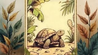 Video: ಮೂರು ಹೊತ್ತಿನ ಊಟಕ್ಕಾಗಿ ದೊಂಬರಾಟ, ಹಗ್ಗದ ಮೇಲೆ ಬಾಲಕಿಯ ಸರ್ಕಸ್ ನೋಡಿ