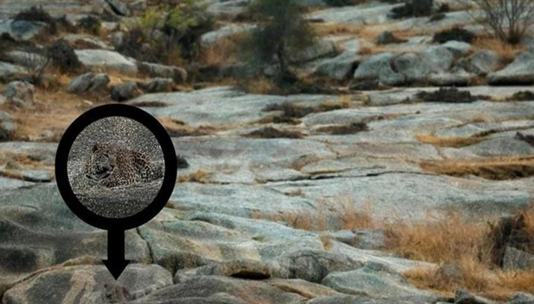 Optical Illusion Answer