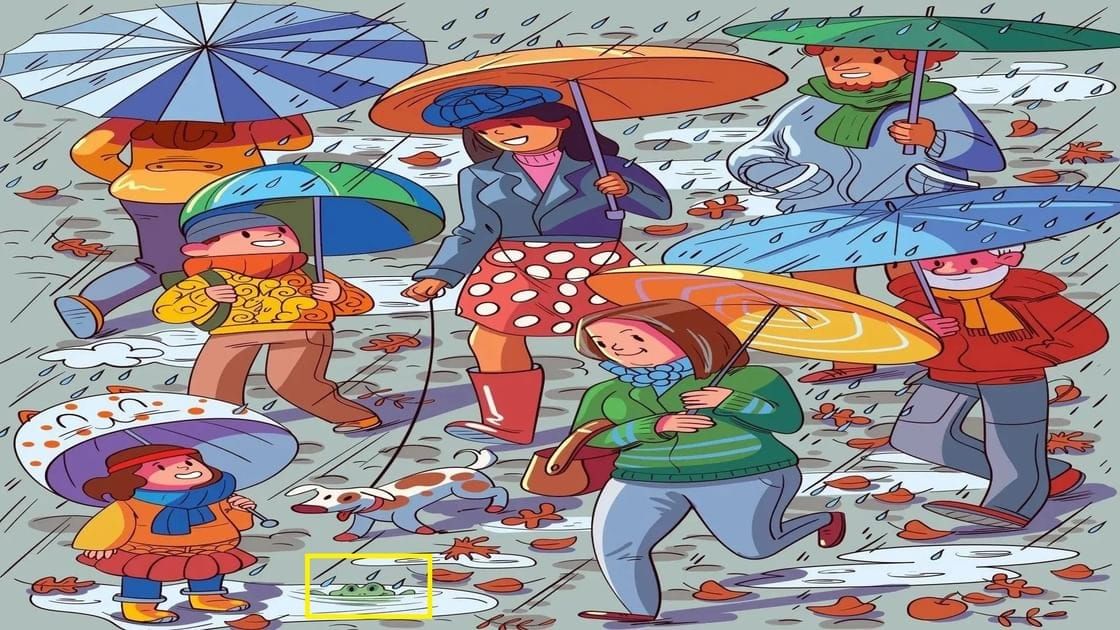 Optical Illusion Answer