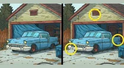 Optical Illusion Answer