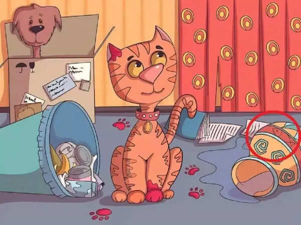 Optical Illusion Answer