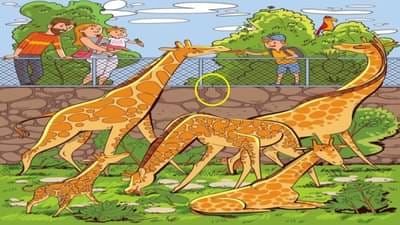 Optical Illusion Answer