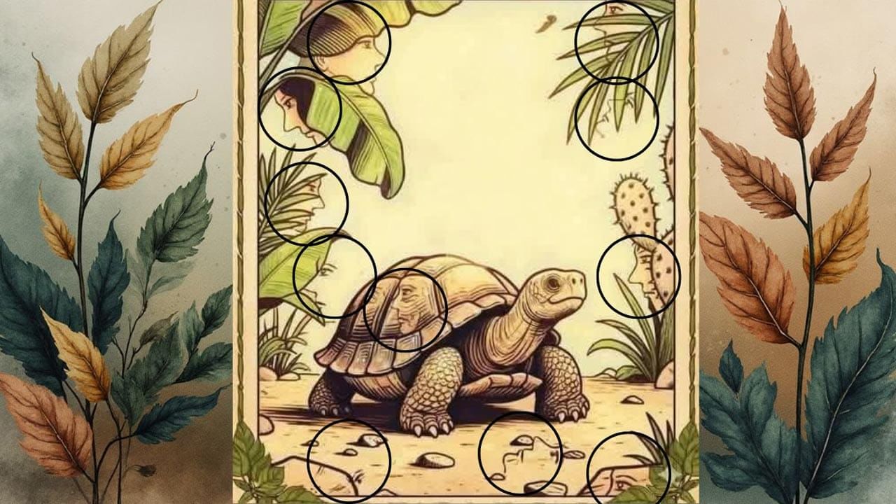 Optical Illusion Answer