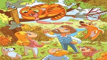 Optical Illusion Answer