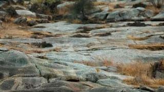 ಸುಮಾರು 1,700 ವರ್ಷಗಳ ಹಳೆಯ ಶವಪೆಟ್ಟಿಗೆ ಪತ್ತೆ: ಅದರಲ್ಲಿದ್ದವು ಅಚ್ಚರಿಯ ವಸ್ತುಗಳು