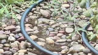 Viral: ಕಾಫಿಬೀಜ ಕದ್ದದ್ದೇ ಈ ಮಹಿಳೆ ಮಾಡಿದ ದೊಡ್ಡ ತಪ್ಪು; ಕೆಲಸಕ್ಕೆ ಸೇರಿದ ಮೊದಲೇ ದಿನವೇ ವಜಾ ಆದ ಉದ್ಯೋಗಿ