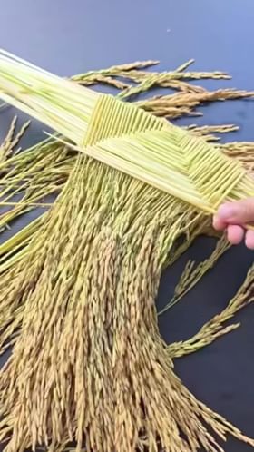 ಮನೆಯಲ್ಲೇ ಮಾಡಿ ಚೆಂದದ ಭತ್ತದ ತೋರಣ