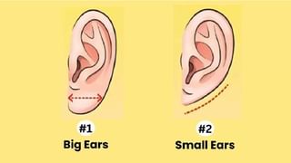 ಅತಿಯಾದ ಒತ್ತಡದಿಂದ ಮುಕ್ತಿ ಪಡೆಯಲು ನೀವು ಕುಡಿಯಬೇಕಾದ ಪಾನೀಯಗಳಿವು