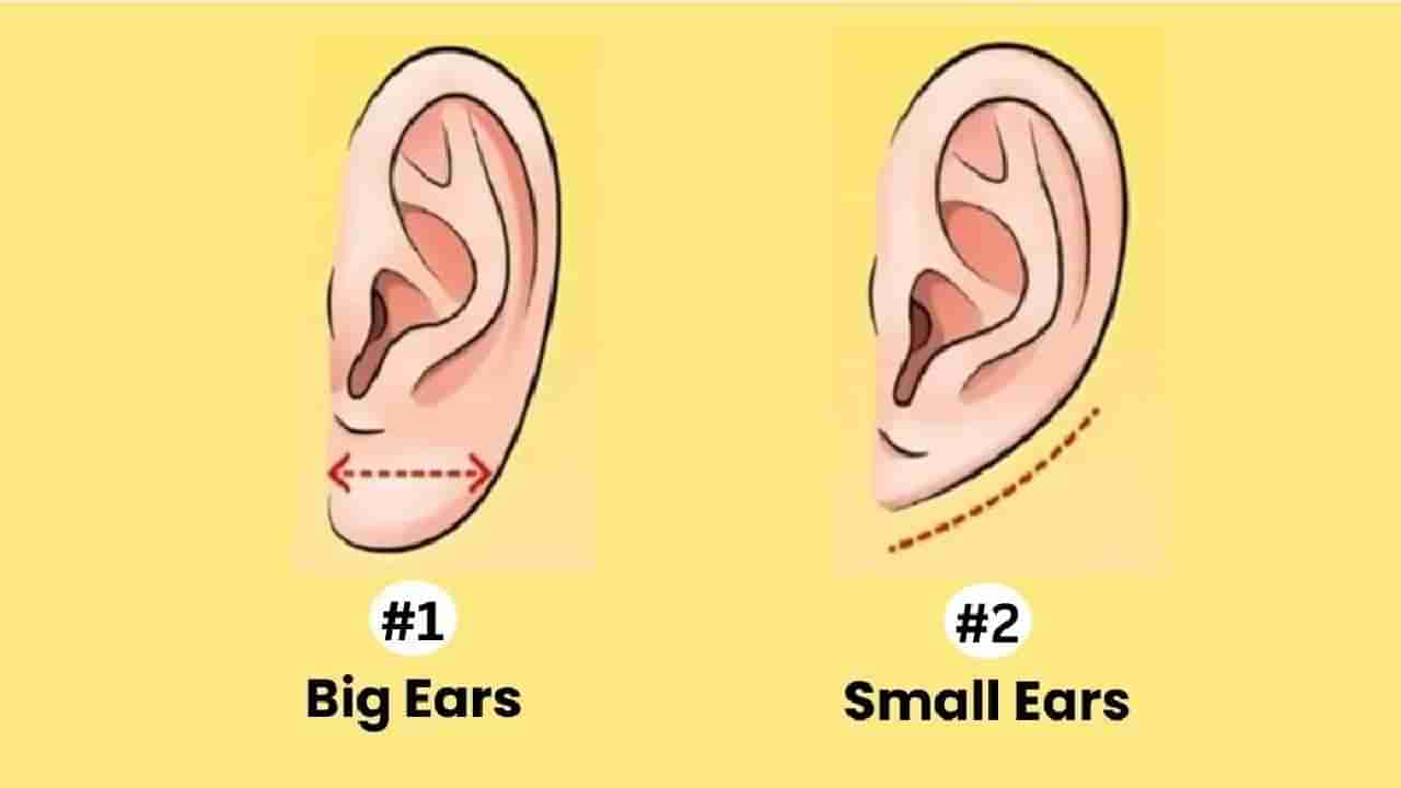 Personality Test: ನಿಮ್ಮ ಕಿವಿಗಳ ಆಕಾರ ಹೇಗಿದೆ? ಇದುವೇ ತಿಳಿಸುತ್ತೆ ನಿಮ್ಮ ವ್ಯಕ್ತಿತ್ವದ ರಹಸ್ಯ