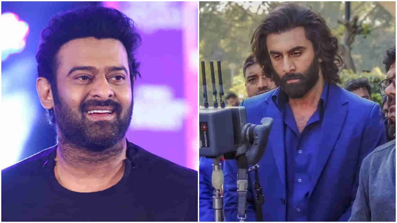 ಪ್ರಭಾಸ್ ನಟನೆಯ ‘ಸ್ಪಿರಿಟ್’ ಸಿನಿಮಾದಲ್ಲಿ ರಣಬೀರ್ ಕಪೂರ್ ಅತಿಥಿ ಪಾತ್ರ?