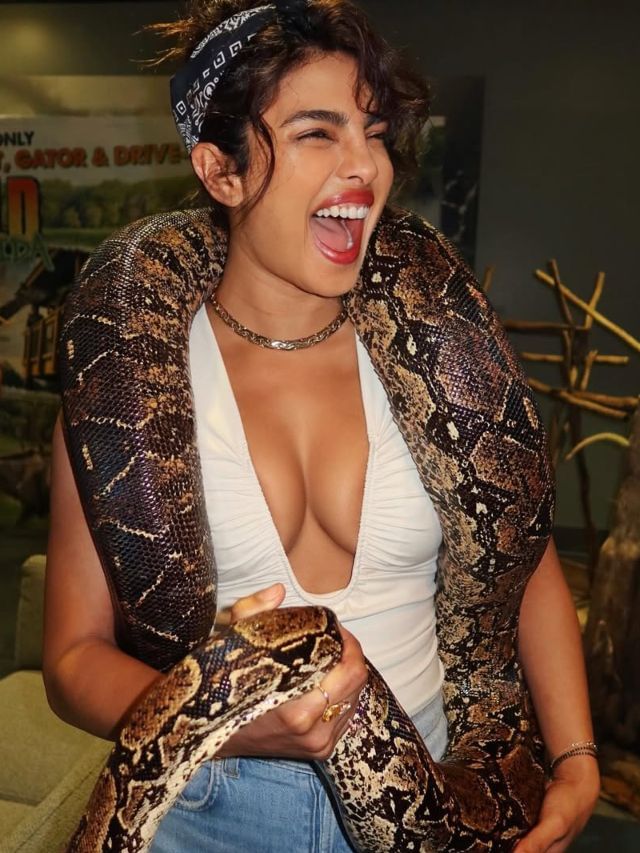 ಪ್ರಿಯಾಂಕಾ ಚೋಪ್ರಾ ದಕ್ಷಿಣದ ಎಷ್ಟು ಸಿನಿಮಾಗಳಲ್ಲಿ ನಟಿಸಿದ್ದಾರೆ ಗೊತ್ತೆ?