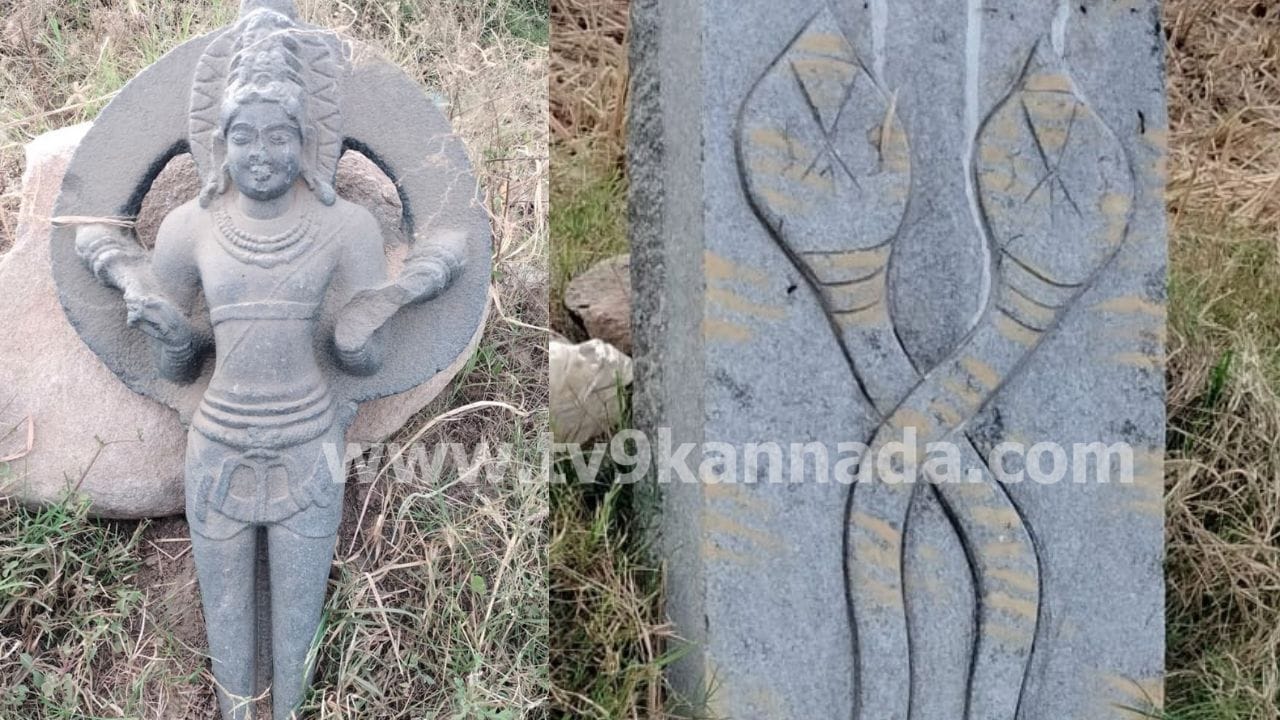 ಬಳ್ಳಾರಿ: ಸಿರುಗುಪ್ಪದ ಮುದ್ದೇನೂರು ಬಳಿ ಅಪರೂಪದ ಸೂರ್ಯ, ಬ್ರಹ್ಮ ವಿಗ್ರಹ ಪತ್ತೆ