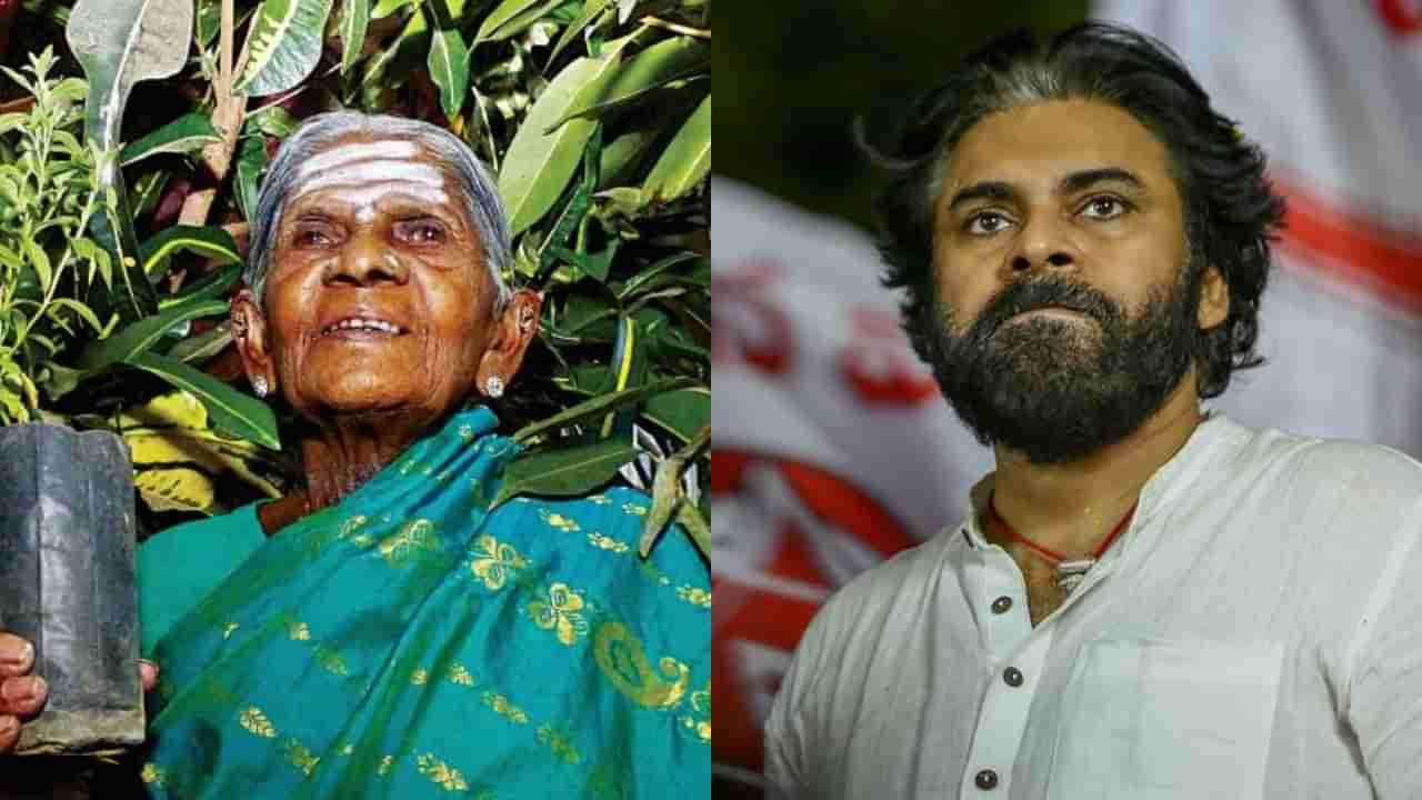 ಸಾಲು ಮರದ ತಿಮ್ಮಕ್ಕನಿಗೆ ವಿದಾಯ ಪತ್ರ ಬರೆದ ಆಂಧ್ರ ಡಿಸಿಎಂ ಪವನ್ ಕಲ್ಯಾಣ್